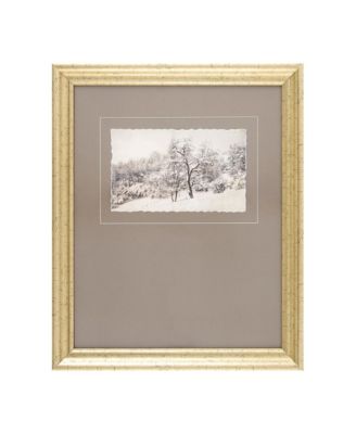 Coconino Framed Art