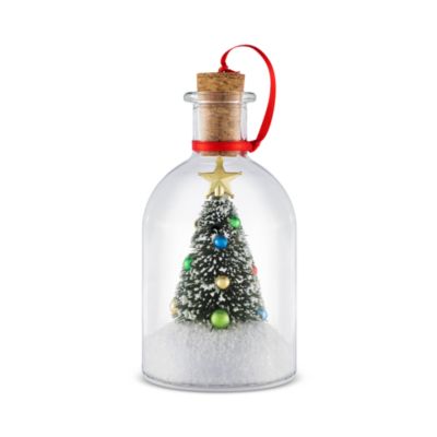 5" Message in a Bottle 
