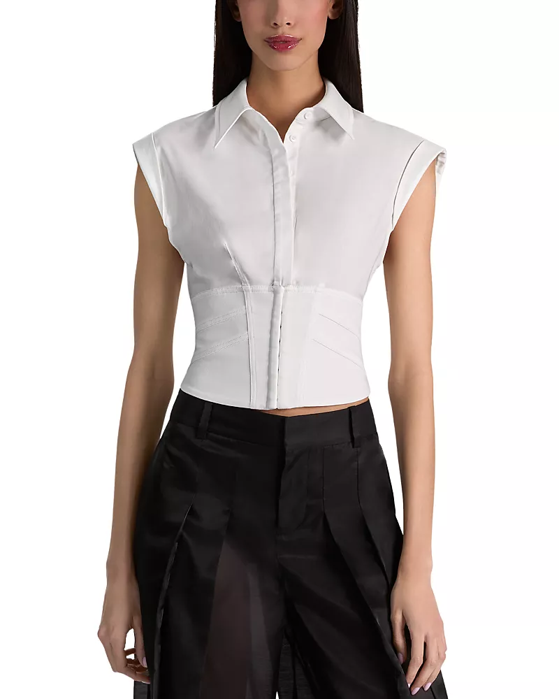 Alice and Olivia Kim Paneled Corset Fitted Top