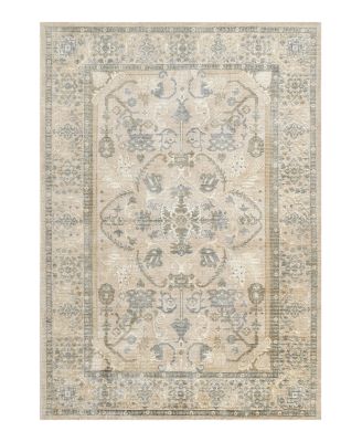 Momeni Estelle ESTELEST-6BGE Area Rug, 8' x 10'