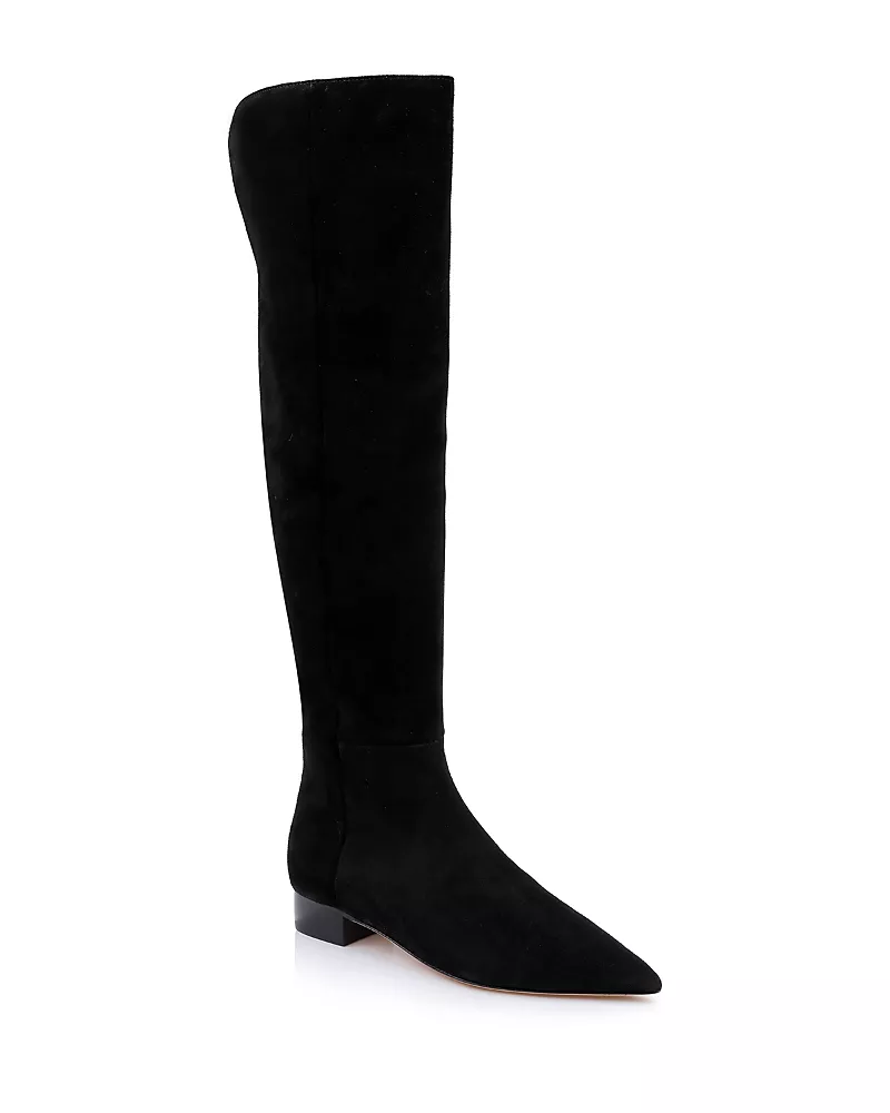 L'Agence Women's Grand Suede Pointed Toe Boots