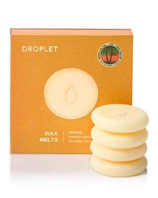 Mimosa Scented Wax Melts, Pack of 4