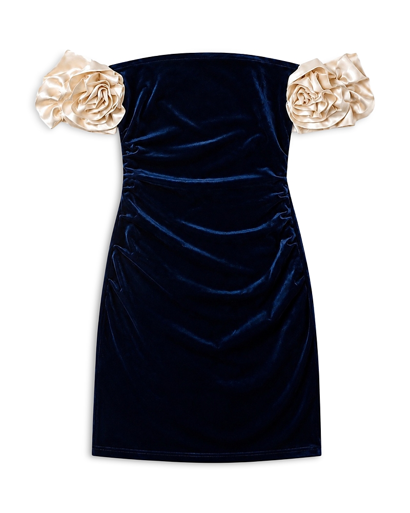 Theme Girls' Montgomery Rosette Off-the-Shoulder Velour Dress - Big Kid