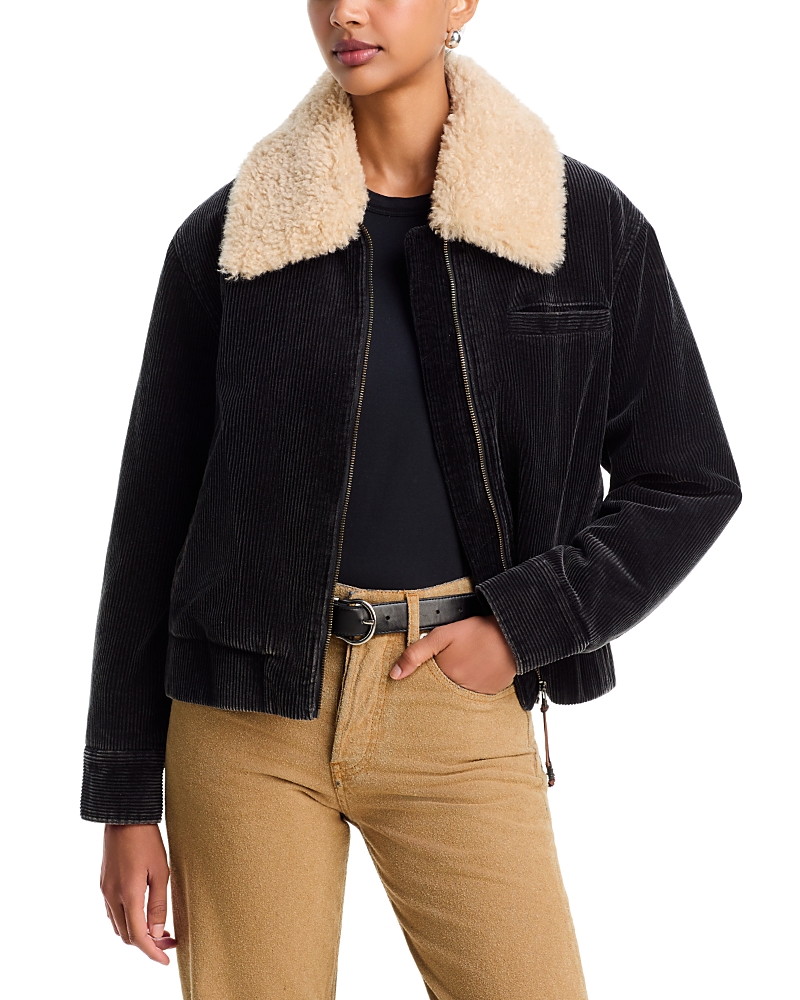 Xirena Bradley Sherpa Collar Cotton Corduroy Jacket