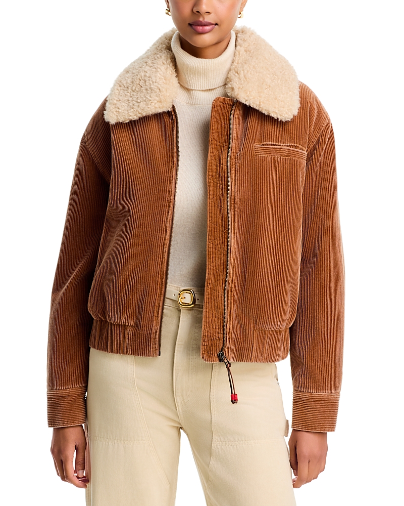 Xirena Bradley Sherpa Collar Cotton Corduroy Jacket
