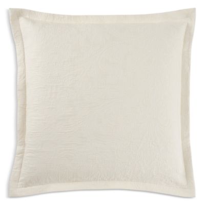 Celso De Lemos Braga Sham, Euro In Naturel