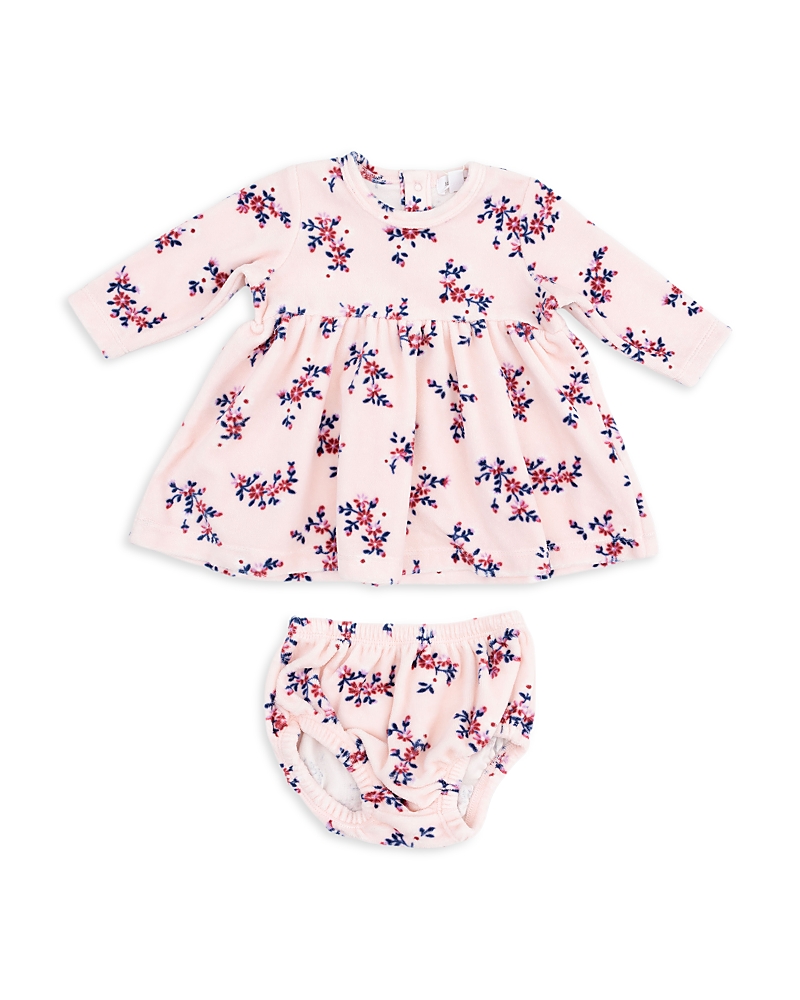Angel Dear Girls' Nora Floral Velour Long Sleeved Empire Waist Dress & Bloomer - Baby
