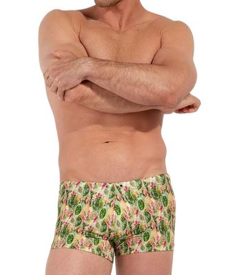  Taormina 2.5" Swim Shorts