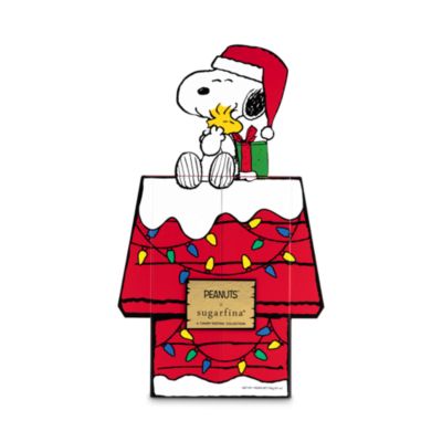 Peanuts 24 Piece Holiday Candy Tasting Collection