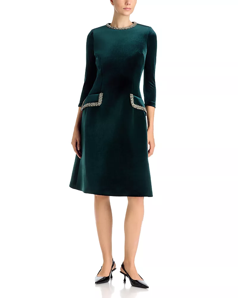 Teri Jon by Rickie Freeman Embellished Velvet A-Line Dress