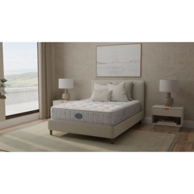 Authenticity Verity Plush Tight Top Mattress - Exclusive