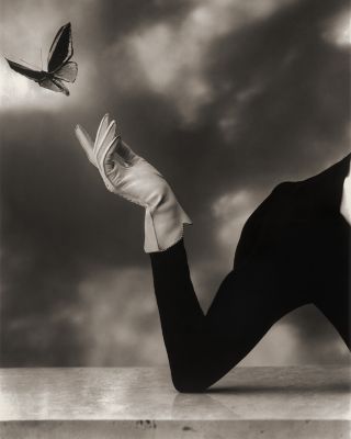 Portrait of a Lady Eau de Parfum 3.4 oz.