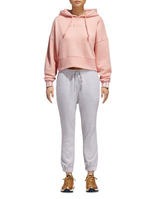 coeeze cropped sweatshirt