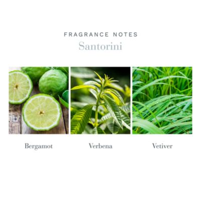 Farmacista Santorini 16.9 oz. Diffuser