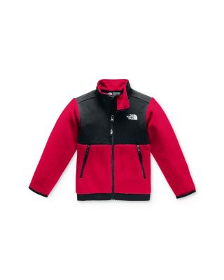 toddler north face denali 2t