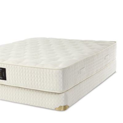 Shifman - Classic Joy Mattress Collection - 100% Exclusive