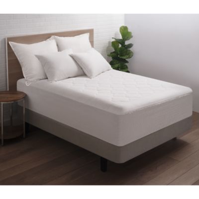 Bloomingdales's My All Cotton Mattress Pad - Exclusive