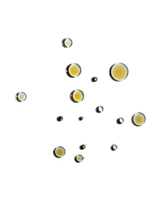 Fleuressence Native Botanical Cell Oil 1.02 oz.