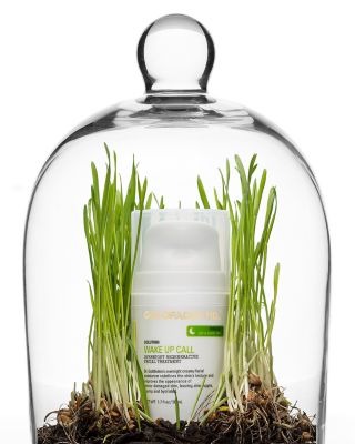 Wake Up Call Overnight Regenerative Facial