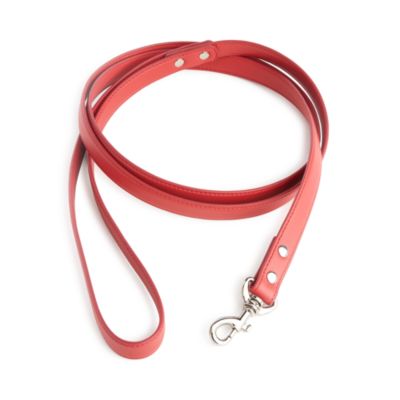 Luxe 6' Dog Leash