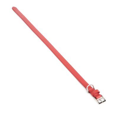 Luxe Medium Dog Collar