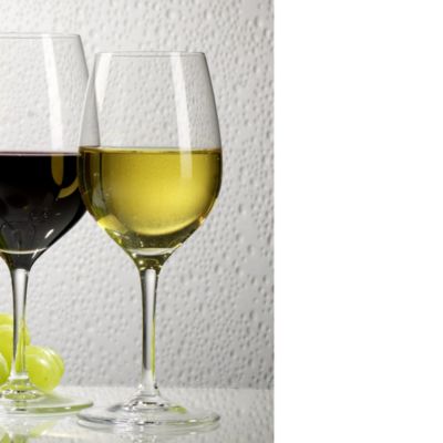 Entree White Wine Glasses, Set of 4