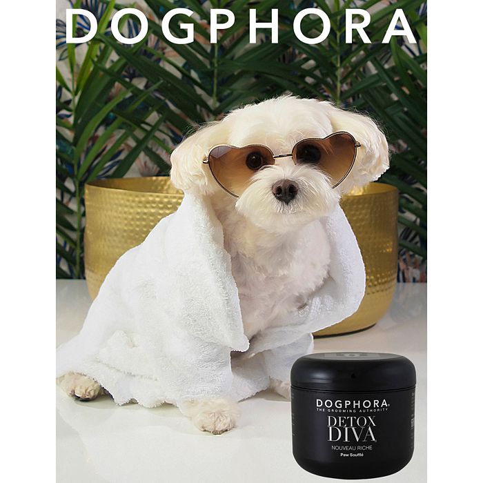Dogphora Detox Diva Paw 4 | Bloomingdale's