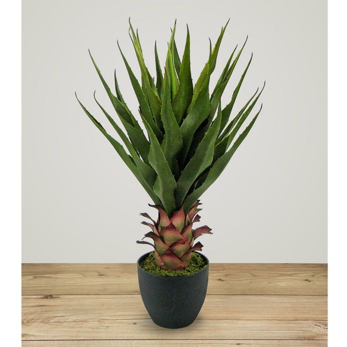 Green Agave Faux Plant Arrangement