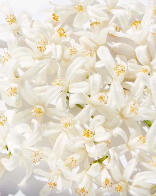 My Happy Baby Bouquet 0.5 oz.