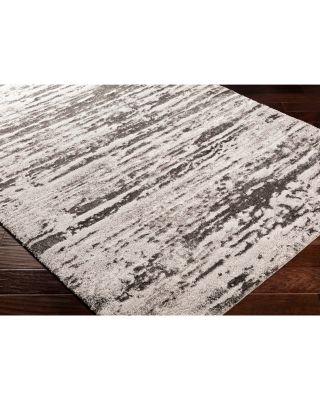 Venice VNE-2301 Area Rug, 3'11" x 5'7"