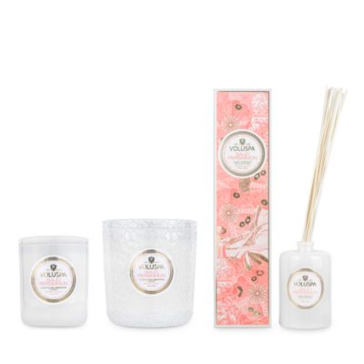 Saijo Persimmon Collection