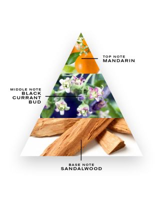 Silver Mountain Water Atomizer Refill Set