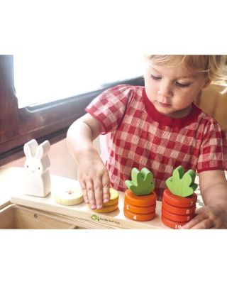 Counting Carrot - Ages 18 Months+