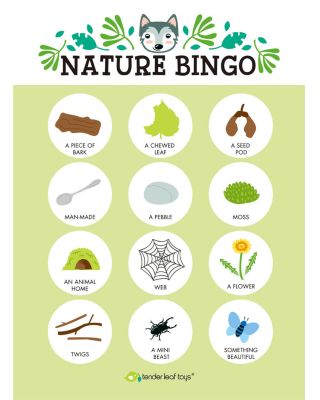 Forest Trail Kit - Ages 3+