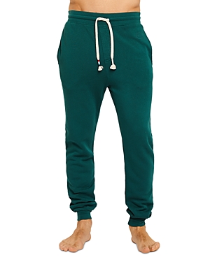 Sol Angeles Waves Joggers In Emerald