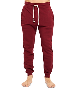Sol Angeles Waves Joggers In Maroon