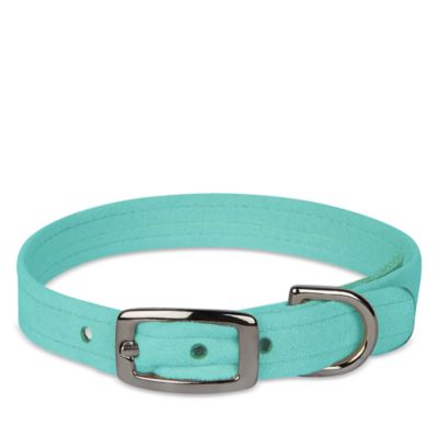 Plain Dog Collar