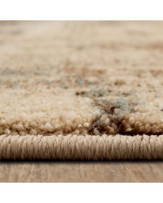 Vanguard Ephemeral Area Rug Collection