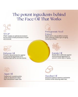 The Starter Kit with The Cream ($270 value)