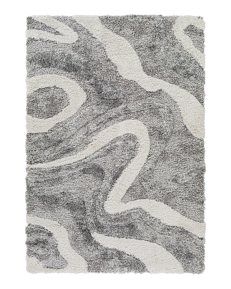 Surya Alta Shag Asg-2303 Area Rug, 2' X 3' In Charcoal
