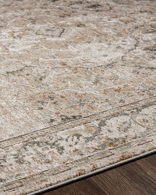 Livabliss Brunswick BWK-2312 Area Rug Collection