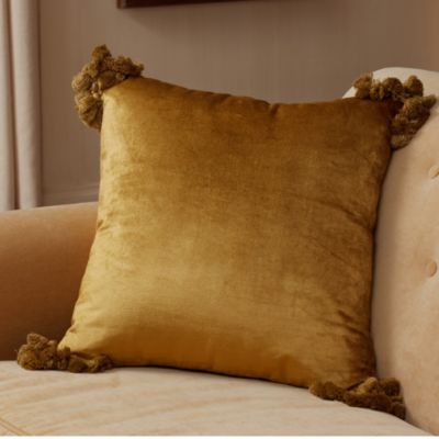 Raj Velvet Decorative Pillow, 20" x 20"