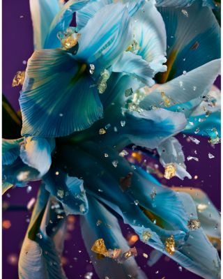 Allegra Spettacolore Eau de Parfum 3.4 oz.