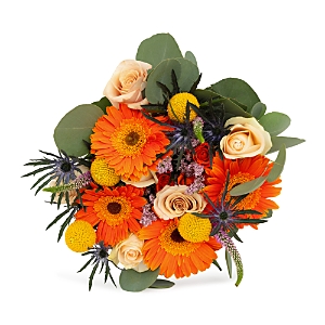 Bloomsybox Bloomsy Box Celebration Bouquet In Orange