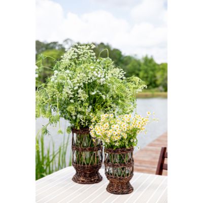 Devon Willow Large Hurricane