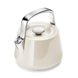 Caraway Stainless Steel Tea Kettle | (sage green)
