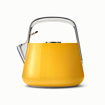 Stainless Steel Tea Kettle