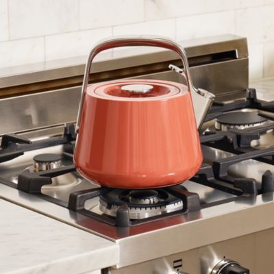 Stainless Steel Tea Kettle