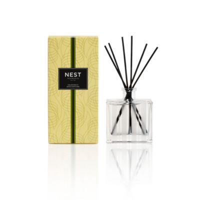 the nest diffuser