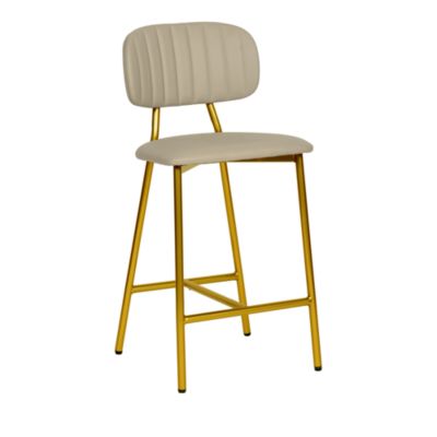 TOV Furniture - Ariana Nude Faux Leather Counter Stool, Set of 2